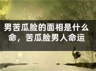 男苦瓜脸的面相是什么命，苦瓜脸男人命运