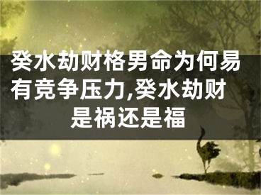 癸水劫财格男命为何易有竞争压力,癸水劫财是祸还是福