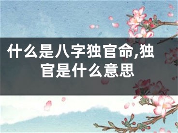 什么是八字独官命,独官是什么意思