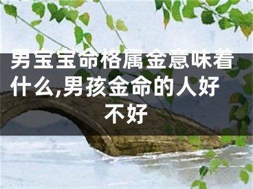 男宝宝命格属金意味着什么,男孩金命的人好不好