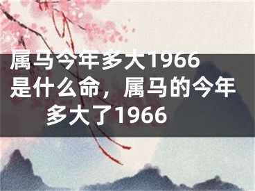 属马今年多大1966是什么命，属马的今年多大了1966