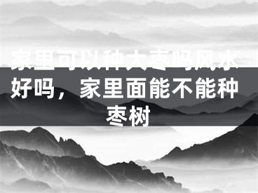 家里可以种大枣吗风水好吗，家里面能不能种枣树