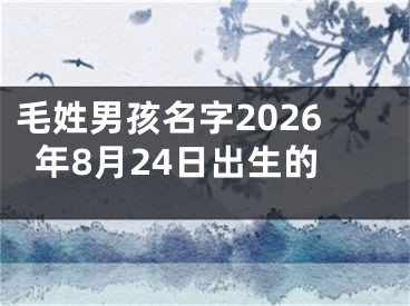 毛姓男孩名字2026年8月24日出生的