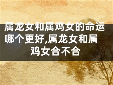 属龙女和属鸡女的命运哪个更好,属龙女和属鸡女合不合