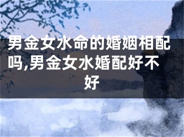 男金女水命的婚姻相配吗,男金女水婚配好不好