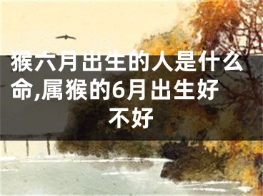 猴六月出生的人是什么命,属猴的6月出生好不好
