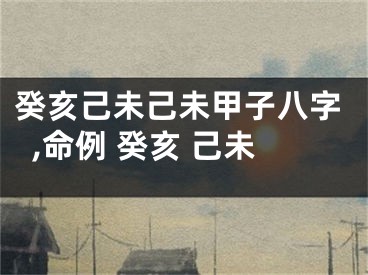 癸亥己未己未甲子八字,命例 癸亥 己未