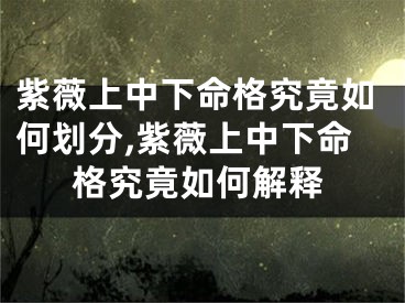 紫薇上中下命格究竟如何划分,紫薇上中下命格究竟如何解释