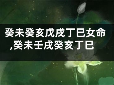 癸未癸亥戊戌丁巳女命,癸未壬戌癸亥丁巳