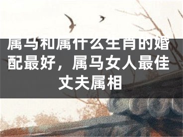 属马和属什么生肖的婚配最好，属马女人最佳丈夫属相