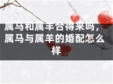 属马和属羊合得来吗,属马与属羊的婚配怎么样