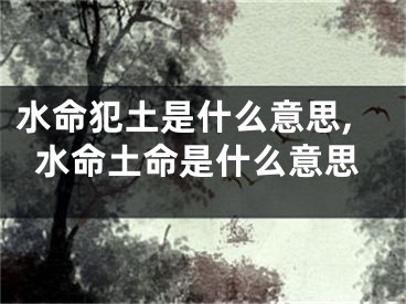 水命犯土是什么意思,水命土命是什么意思