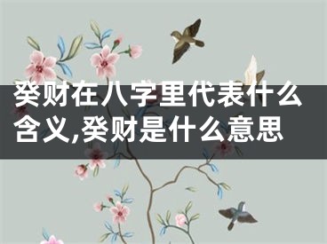 癸财在八字里代表什么含义,癸财是什么意思