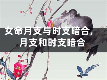 女命月支与时支暗合,月支和时支暗合