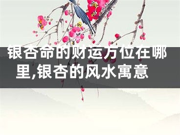 银杏命的财运方位在哪里,银杏的风水寓意