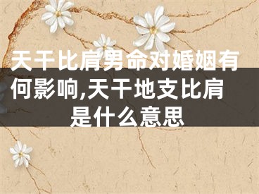 天干比肩男命对婚姻有何影响,天干地支比肩是什么意思