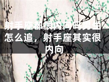 射手座都很内向吗男生怎么追，射手座其实很内向