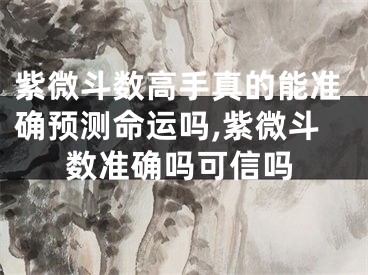 紫微斗数高手真的能准确预测命运吗,紫微斗数准确吗可信吗