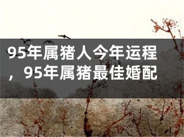95年属猪人今年运程，95年属猪最佳婚配