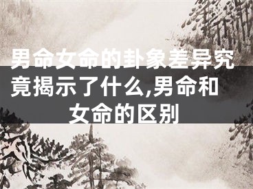 男命女命的卦象差异究竟揭示了什么,男命和女命的区别