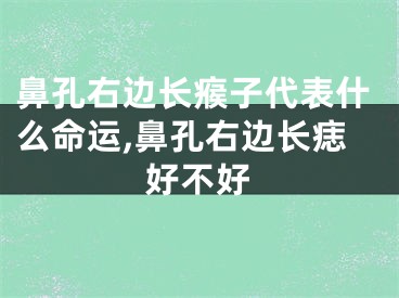 鼻孔右边长瘊子代表什么命运,鼻孔右边长痣好不好
