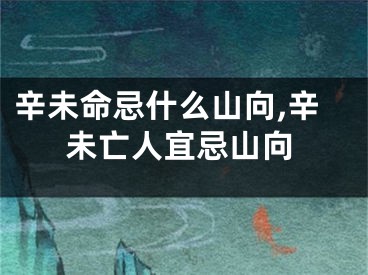辛未命忌什么山向,辛未亡人宜忌山向