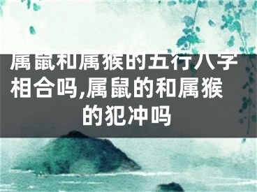 属鼠和属猴的五行八字相合吗,属鼠的和属猴的犯冲吗