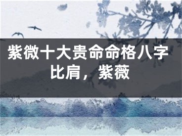 紫微十大贵命命格八字比肩，紫薇