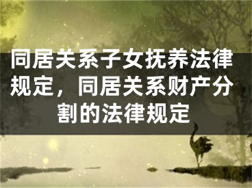 同居关系子女抚养法律规定，同居关系财产分割的法律规定