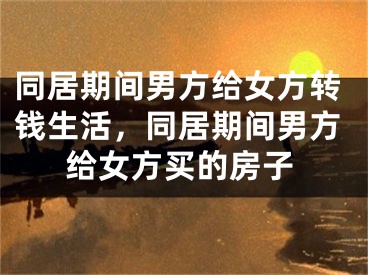 同居期间男方给女方转钱生活，同居期间男方给女方买的房子