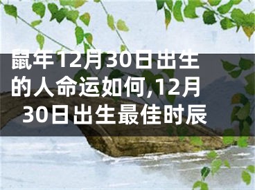 鼠年12月30日出生的人命运如何,12月30日出生最佳时辰