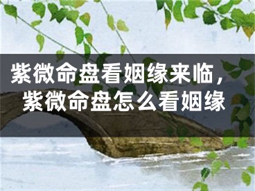 紫微命盘看姻缘来临，紫微命盘怎么看姻缘