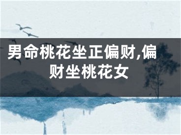 男命桃花坐正偏财,偏财坐桃花女