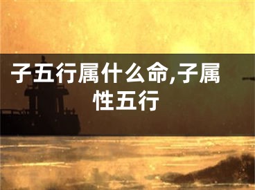 子五行属什么命,子属性五行