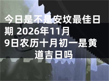 今日是不是安坟最佳日期 2026年11月9日农历十月初一是黄道吉日吗