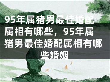95年属猪男最佳婚配属相有哪些，95年属猪男最佳婚配属相有哪些婚姻
