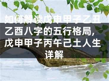 如何解读戊申甲子乙丑乙酉八字的五行格局,戊申甲子丙午己土人生详解