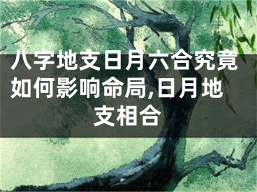 八字地支日月六合究竟如何影响命局,日月地支相合