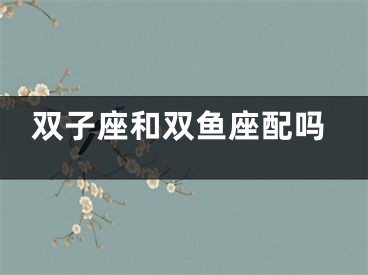 双子座和双鱼座配吗