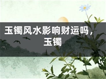 玉镯风水影响财运吗，玉镯