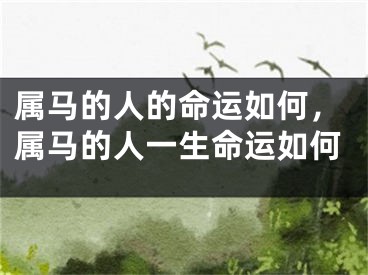 属马的人的命运如何，属马的人一生命运如何