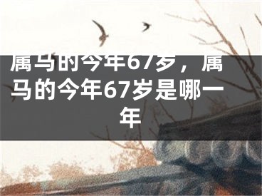 属马的今年67岁，属马的今年67岁是哪一年