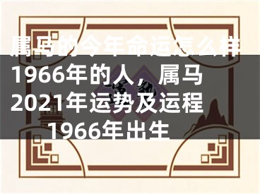 属马的今年命运怎么样1966年的人，属马2021年运势及运程1966年出生