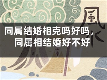 同属结婚相克吗好吗，同属相结婚好不好