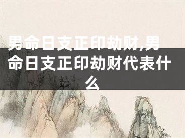 男命日支正印劫财,男命日支正印劫财代表什么
