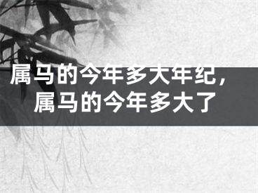 属马的今年多大年纪，属马的今年多大了