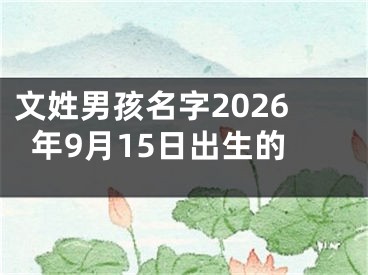 文姓男孩名字2026年9月15日出生的