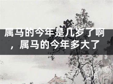 属马的今年是几岁了啊，属马的今年多大了