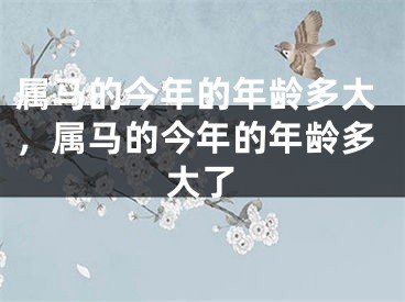属马的今年的年龄多大，属马的今年的年龄多大了