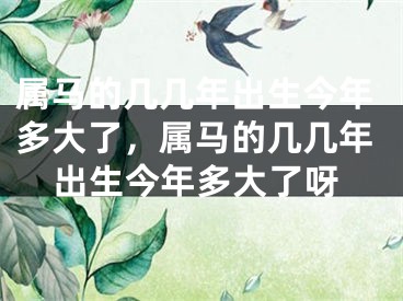属马的几几年出生今年多大了，属马的几几年出生今年多大了呀